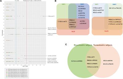 Candidate Gene Polymorphisms Influence the Susceptibility to Salt Sensitivity of Blood Pressure in a Han Chinese Population: Risk Factors as Mediators